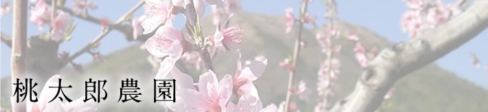 桃太郎農園