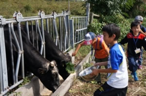 三瓶青少年交流の家とは